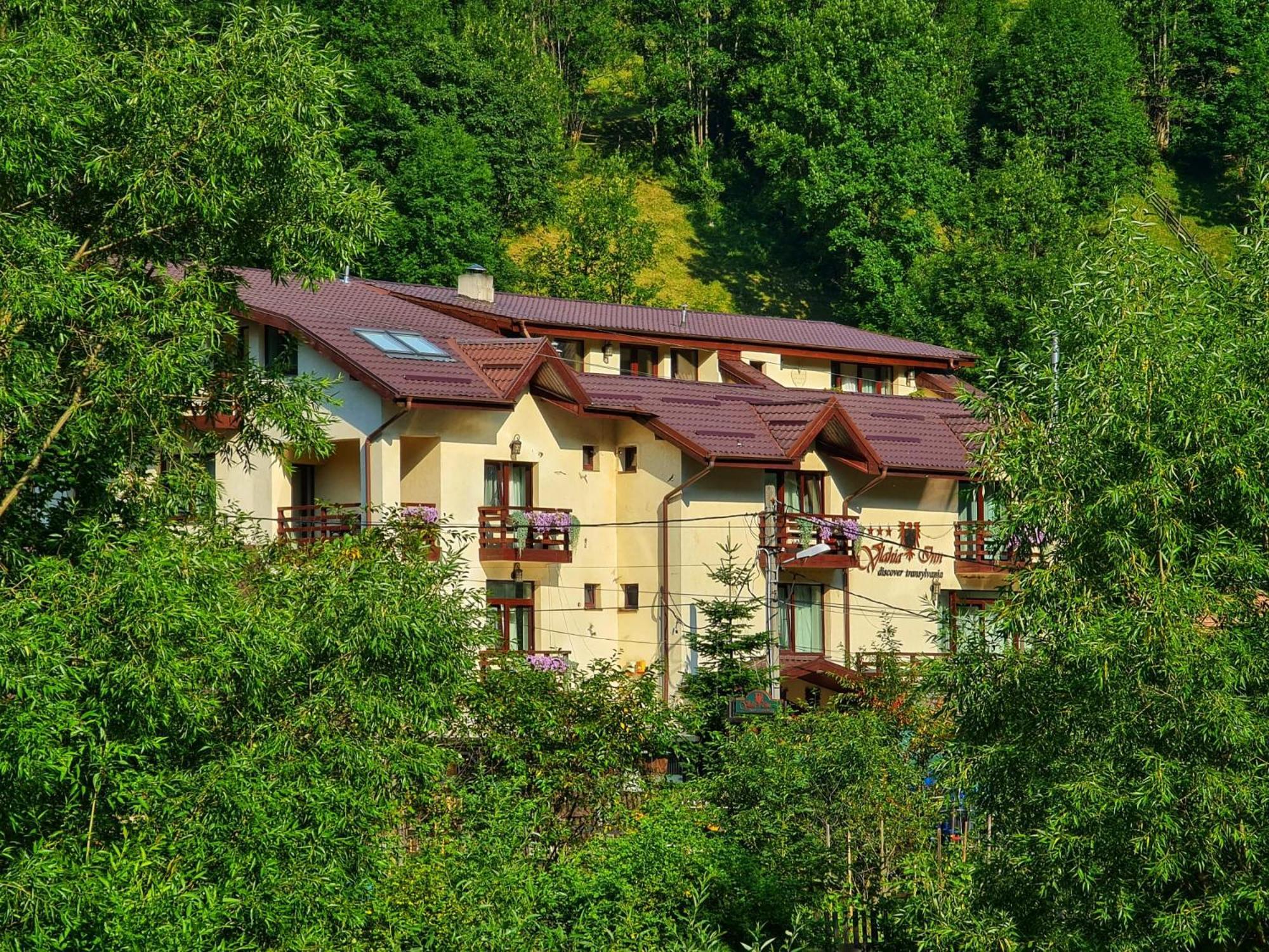 Pensiunea Vlahia Inn Моечу де Жос Екстериор снимка